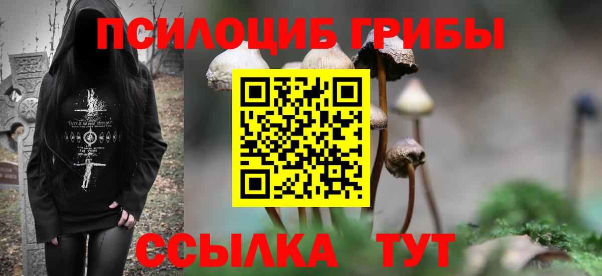 Кропоткин  Галлюциногенные грибы прущие грибы  Вход с VPN  Псилоцибиновые грибы Psilocybine cubensis 